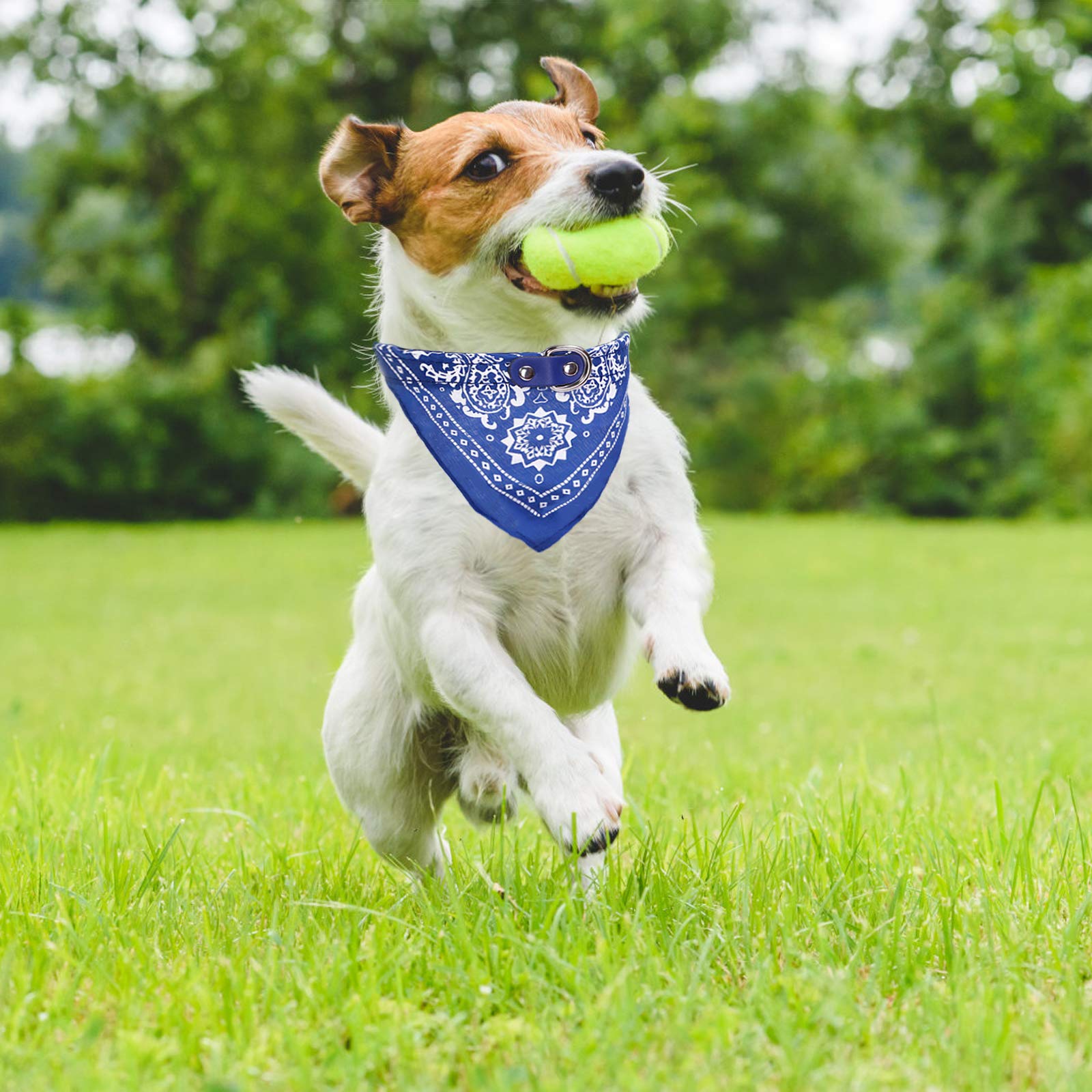 Amazon | HACRAHO 犬の首輪バンダナ, 4個 調節可能な犬のバンダナ
